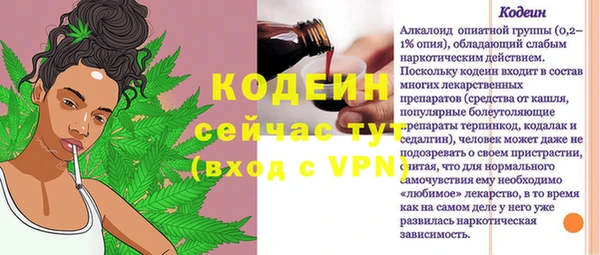 гашик Лабытнанги