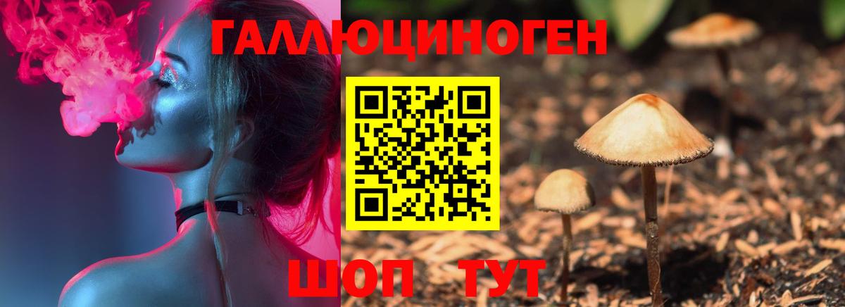 Псилоцибиновые грибы MAGIC MUSHROOMS  наркошоп  Узловая  Вход с VPN 
